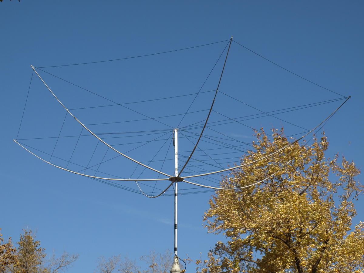 A
            picture containing tree, sky, outdoor, antenna
            Description automatically generated